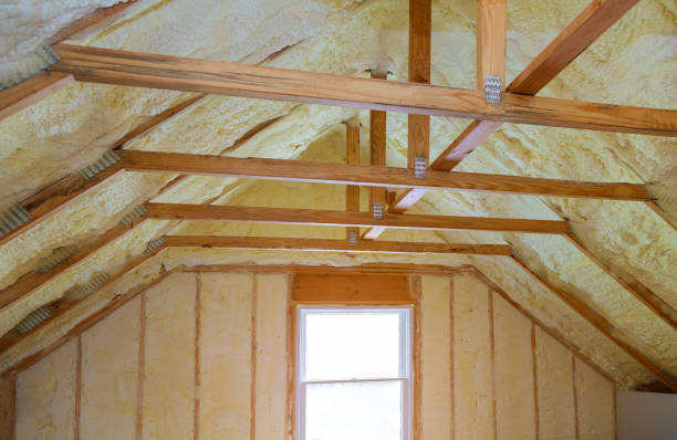 Best Home Insulation Services  in Laurel Lake, NJ