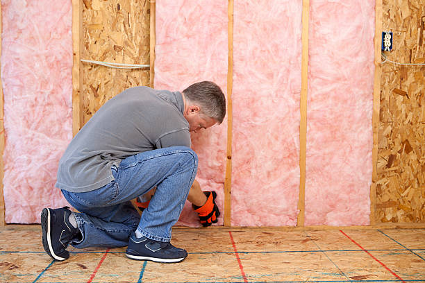 Best Residential Insulation Services  in Laurel Lake, NJ