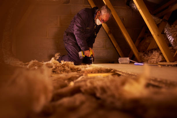 Best Home Insulation Services  in Laurel Lake, NJ