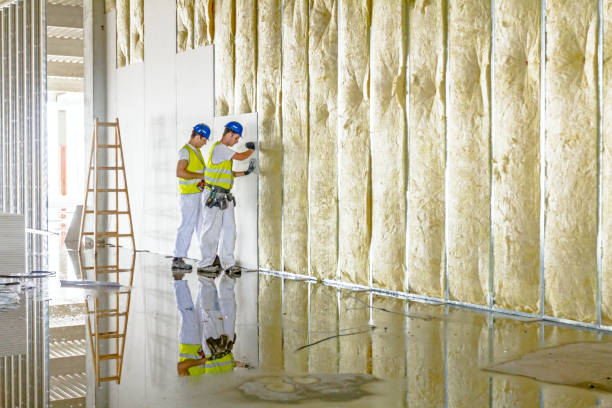 Best Spray Foam Insulation  in Laurel Lake, NJ